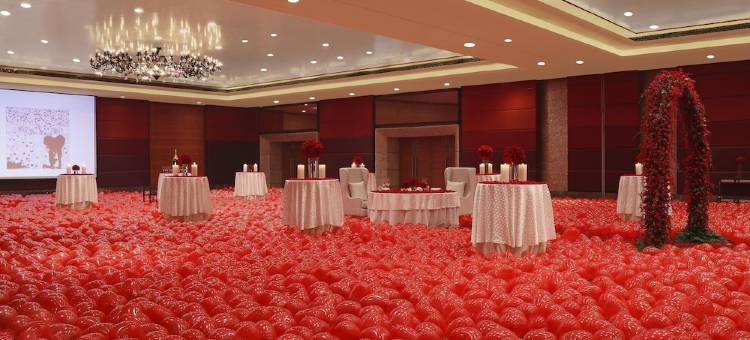 里拉安姆比尔古尔冈酒店(The Leela Ambience Gurugram Hotel)图片