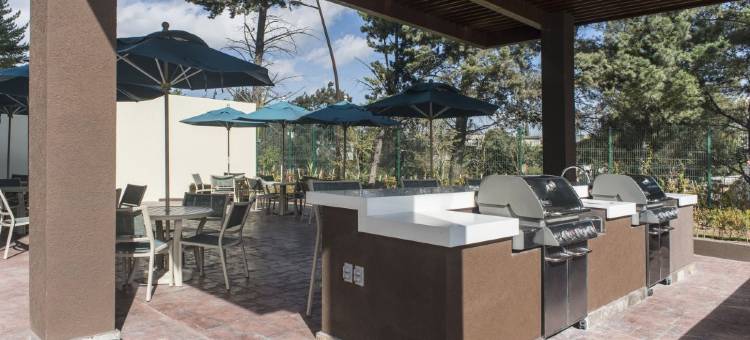 普埃布拉Staybridge Suites(Staybridge Suites PUEBLA by IHG)图片