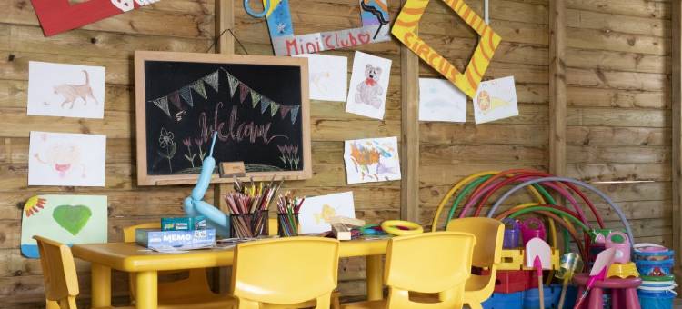 巴利亚萨科马普拉亚俱乐部酒店(Hotel Palia Sa Coma Playa)图片