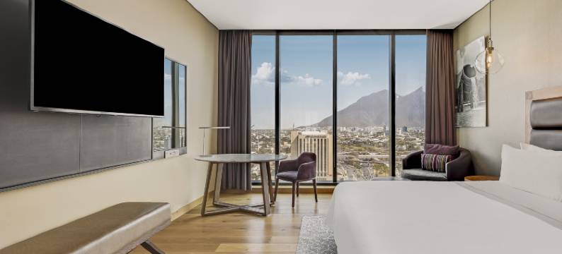 美洲嘉年华蒙特雷帕韦永M.酒店(Fiesta Americana Monterrey Pabellón M.)图片