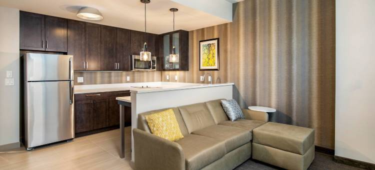 休斯敦医学中心/NRG公园居家酒店(Residence Inn Houston Medical Center/NRG Park)图片