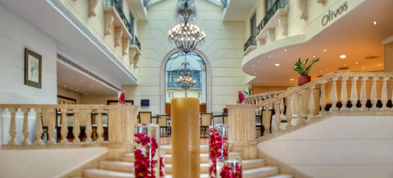 丽笙蓝标酒店-贝鲁特(Radisson Blu Martinez Beirut)图片