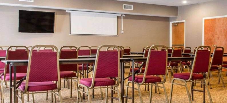 舒适套房酒店-本顿港-圣约瑟(Comfort Suites Benton Harbor - St. Joseph)图片