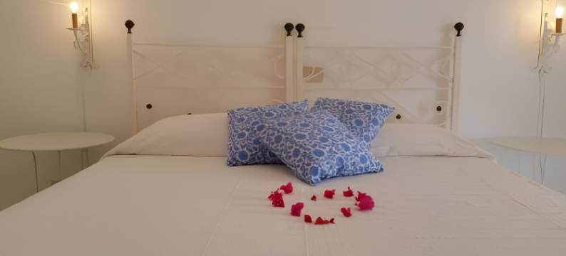 帕纳瑞尔酒店(Panareal)图片