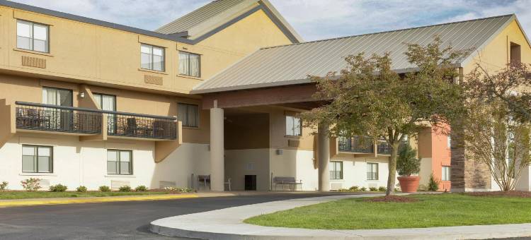 Holiday Inn Express 纳什维尔机场(Holiday Inn Express NASHVILLE AIRPORT by IHG)图片