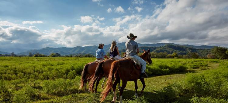 茉莉小屋酒店 - 罗莱夏朵酒店(House of Jasmines Relais & Châteaux)图片