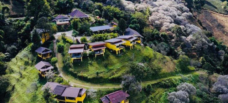 美斯乐山居度假村(Maesalong Mountain Home Resort)图片