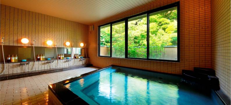 白柳庄日式旅馆(Yanagawa Hakuryuso)图片