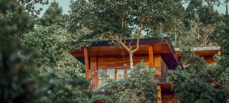 德福雷酒店(De Foret)图片