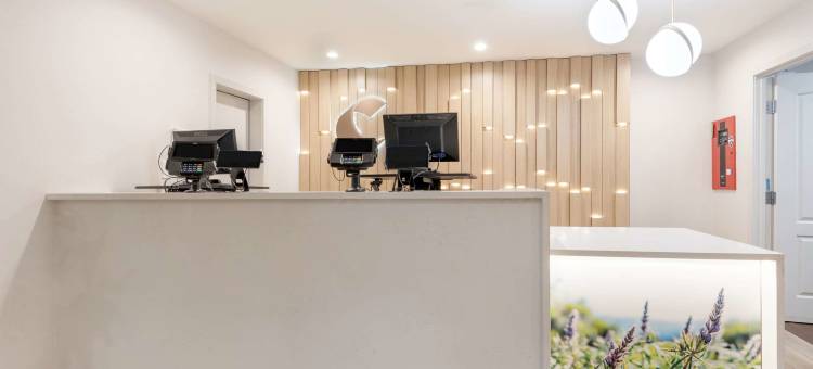 咆哮叉河卡本戴尔舒适套房酒店(Comfort Inn & Suites Carbondale on the Roaring Fork)图片