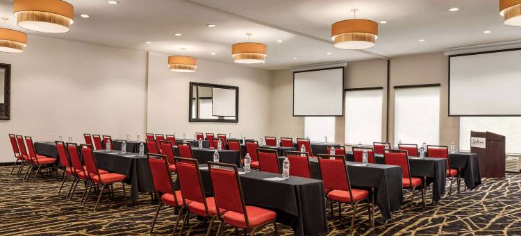科罗拉多斯普林斯机场丽笙酒店(Radisson Hotel Colorado Springs Airport)图片
