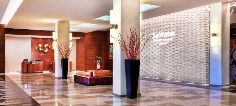 华盛顿杜勒斯国际机场威斯汀酒店(The Westin Washington Dulles Airport)图片