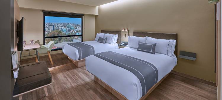 坦皮科万豪城市快捷普拉斯酒店(City Express Plus by Marriott Tampico)图片