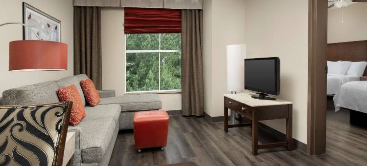 伯明翰胡佛希尔顿安泊酒店(Embassy Suites by Hilton Birmingham Hoover)图片