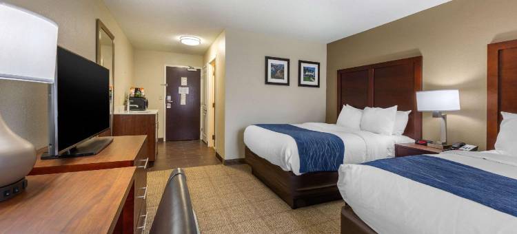 丹佛斯- 波士顿北岸舒适酒店(Comfort Inn Danvers - Boston North Shore)图片