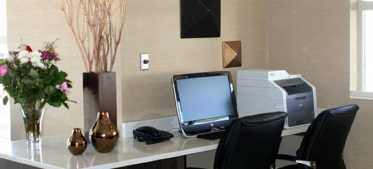 Holiday Inn Express 金(Holiday Inn Express Golden-Kicking Horse)图片