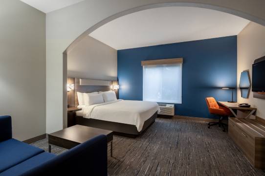 北温哥华智选假日酒店(Holiday Inn Express VANCOUVER NORTH - SALMON CREEK by IHG)