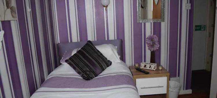 OYO 温斯泰酒店(OYO Wynnstay Hotel)图片