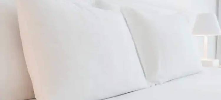 巴克斯特布雷纳德区戴斯套房酒店(Days Inn & Suites by Wyndham Baxter Brainerd Area)图片