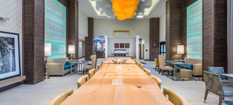 达拉斯-科洛尼希尔顿欢朋酒店及套房-TX(Hampton Inn & Suites Dallas-The Colony)图片