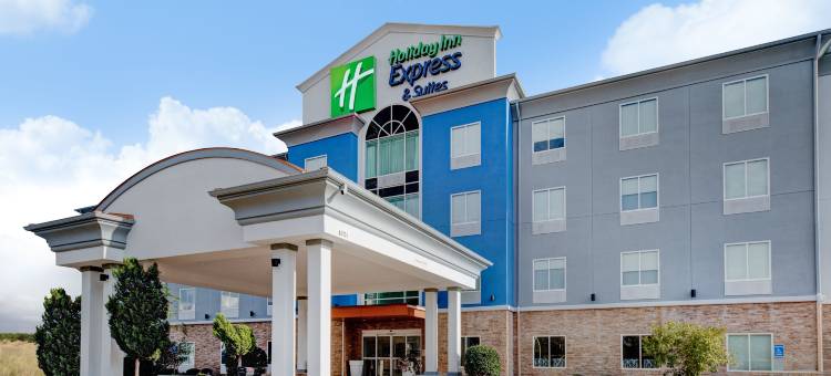 智选假日套房酒店达拉斯西(Holiday Inn Express & Suites Dallas W - I-30 Cockrell Hill)图片