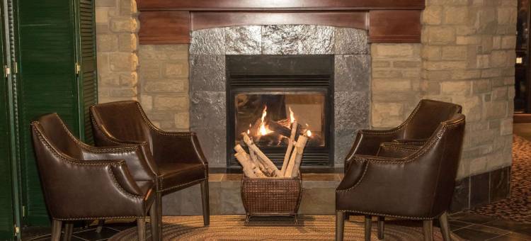 瀑布山酒店 - 阿桑德连锁酒店(Calabogie Peaks Hotel, Ascend Hotel Collection)图片