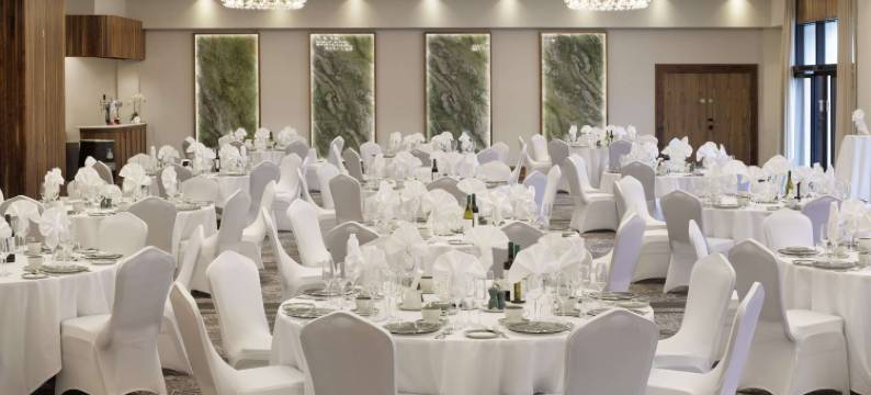 希尔顿逸林酒店贝尔法斯特坦普尔帕特里克(DoubleTree by Hilton Belfast Templepatrick)图片