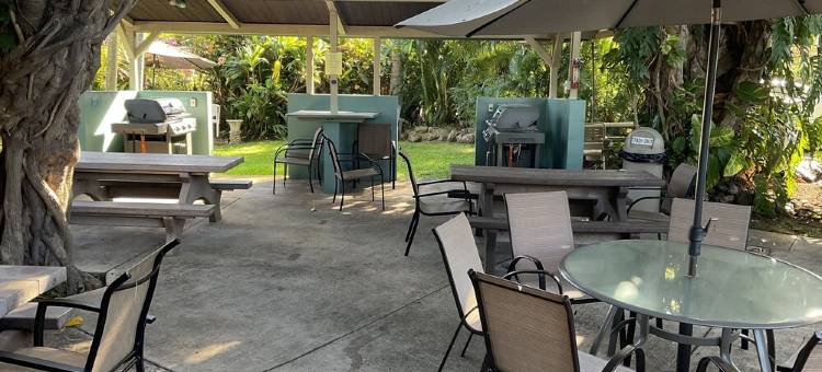 臻品#201, 纳皮利湾海滨! 顶层转角房, 公寓, 特惠!(Napili Bay Perfection #201, Top Floor, Corner Unit, On The Beach!  Specials!)图片