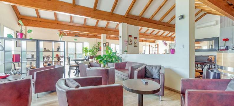 卡斯特尔布里特酒店(Brit Hotel Confort Castres)图片