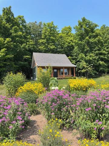 Book Early for 2026! Cabin Fills Quickly, 2/4 Adults or Family up to 4 Kids.