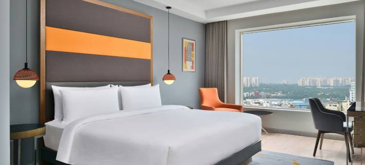海得拉巴艾美酒店(Le Meridien Hyderabad)图片
