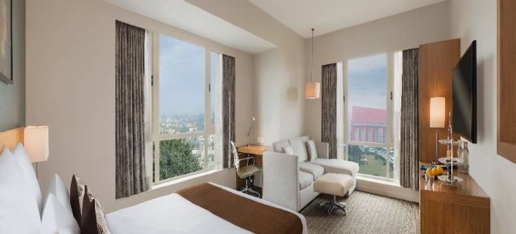 勒克瑙格姆提纳加诺富特酒店(Novotel Lucknow Gomti Nagar)图片