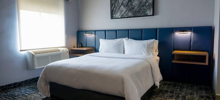 洲际酒店集团voco盐蒂约套房酒店(DoubleTree Suites by Hilton Hotel Saltillo)图片