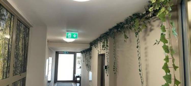 Nest Natur Hostel图片