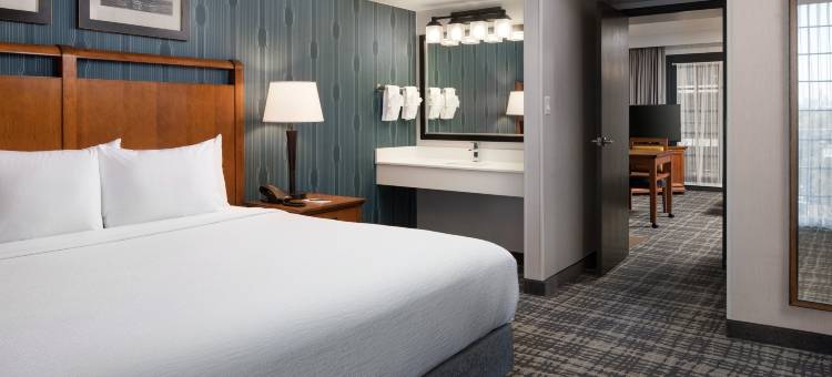 奥斯汀中央希尔顿安泊酒店(Embassy Suites by Hilton Austin Central)图片