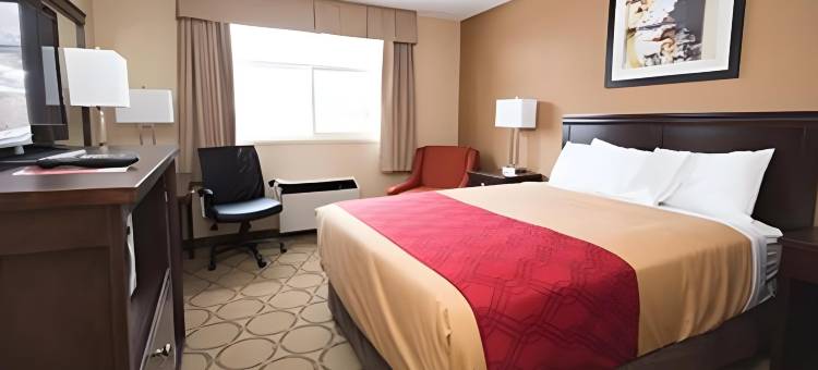 伊康旅馆(Econo Lodge)图片