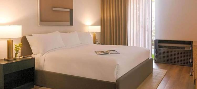 君主(The Monarch)图片