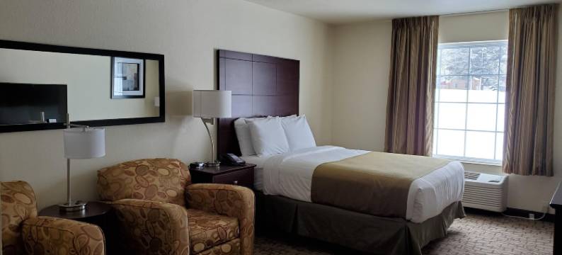 鹅卵石套房酒店 - 巴隆(Cobblestone Inn & Suites - Barron)图片