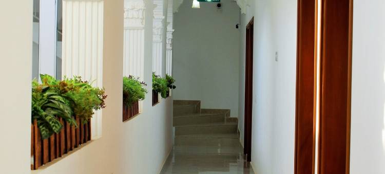 提维日出(Tiwi Sunrise)图片