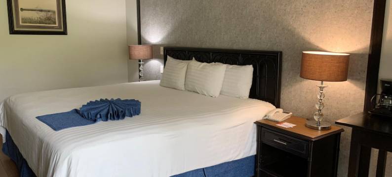 波萨达德坦皮科酒店(Posada de Tampico)图片