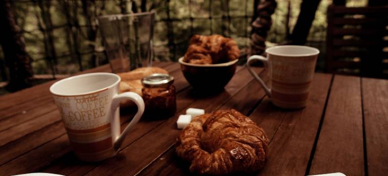 阿尔布雷卡巴内酒店(L'Arbre à Cabane)图片