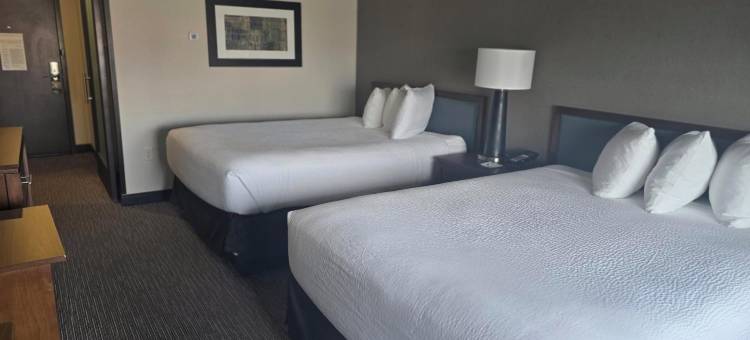 丹佛机场蔚景温德姆酒店(Wingate by Wyndham Denver Airport)图片