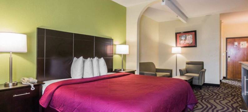 北蒙哥马利品质酒店及套房(Quality Inn & Suites North Montgomery)图片