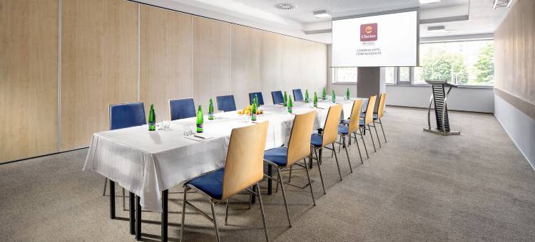 凯隆会议酒店-契斯凯巴德杰维契(Clarion Congress Hotel České Budějovice)图片