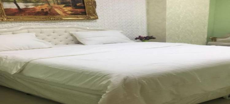 首都O 141金色光芒酒店(Capital O 141 Golden Rays Hotel)图片
