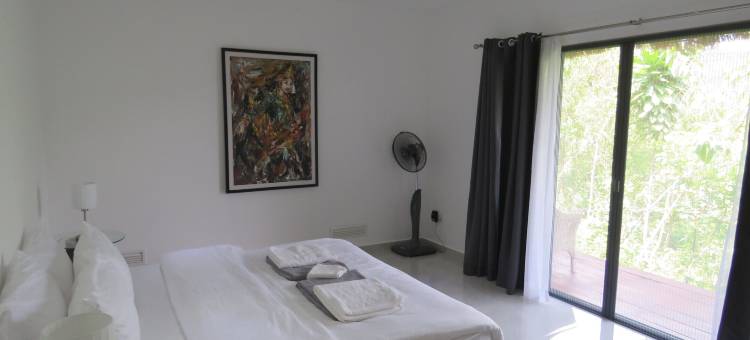 塔太彩虹小屋(Rainbow Lodge)图片