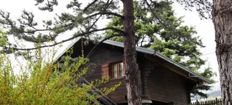 乡村酒店(Hotel Village)图片