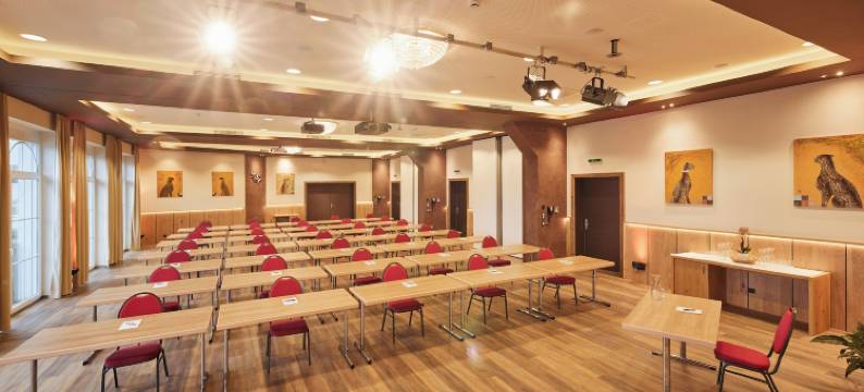 皇家全景酒店(Hotel Panorama Royal)图片