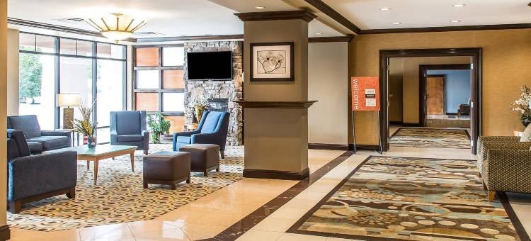 舒适套房酒店(Comfort Inn & Suites)图片