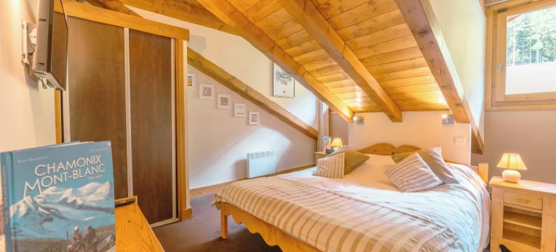 瓦洛西纳勃朗峰水疗公寓(Vallorcine Mont Blanc Spa)图片